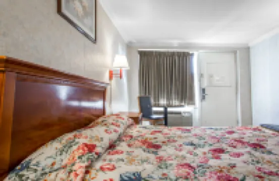 多比奇汽車旅館