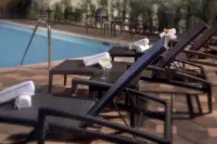 Best Western Premier Miami Intl Airport Hotel  Suites Coral Gables