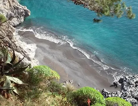 B&B Mariposa - Housity