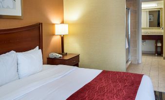Comfort Inn Petersburg Near Fort Gregg-Adams