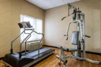 Quality Inn & Suites Lodi I-90 - palestra