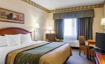 Comfort Inn South-Medford