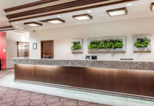 리비에라 플라자 객실 내부 모습