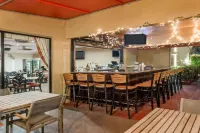 Holiday Inn & Suites BOCA RATON - NORTH by IHG - bar