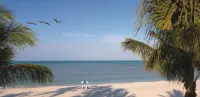 La Playa Beach & Golf Resort, a Noble House Resort - Ocean View