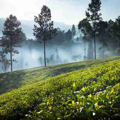 Ceylon Tea Trails - Relais and Chateaux - All Inclusive Hotel Exterior