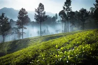 Ceylon Tea Trails - Relais and Chateaux Hotel di Dick oya
