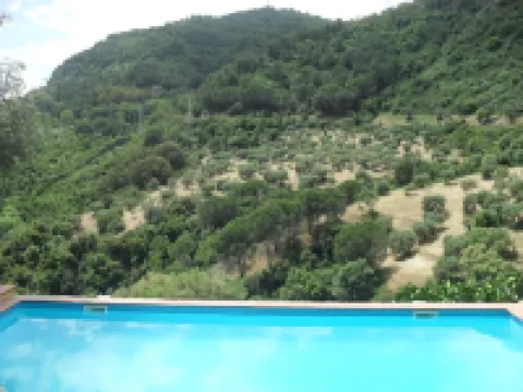 Azienda Agrituristica le Puzelle