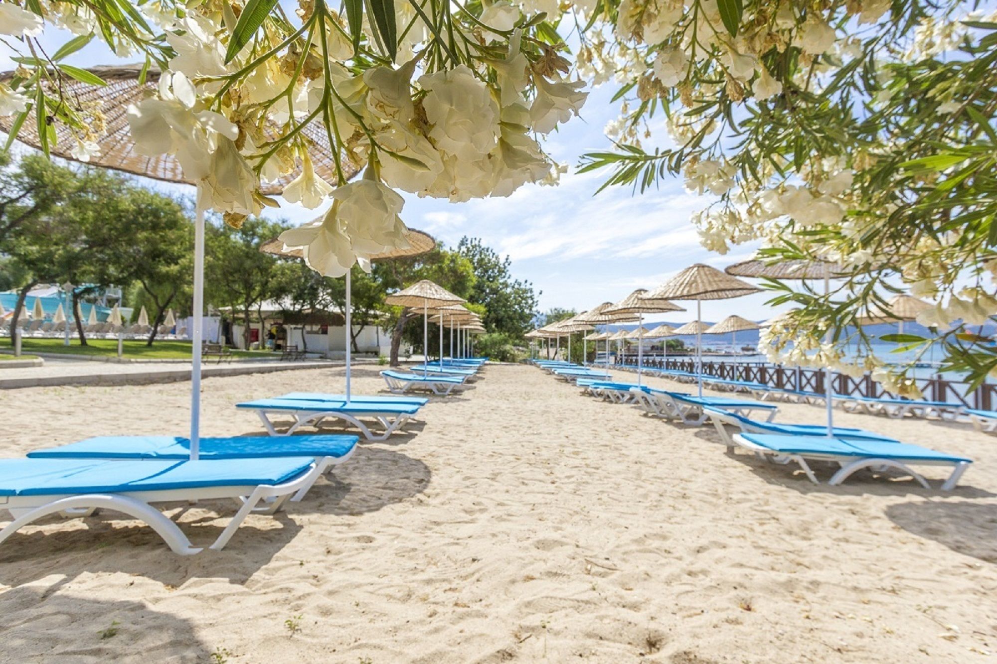 Carpe Mare Beach Resort - All Inclusive
