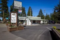 Green Gables Motel & Suites - Wifi