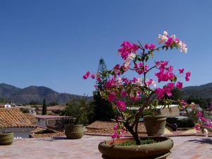 Mesón de Santa Elena Hotel Galeria