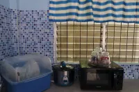 Yoo C Apartment Hotels in Dumaguete