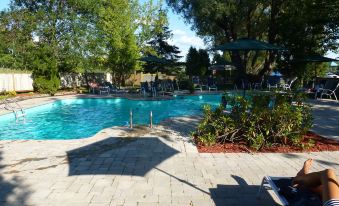 a beautiful outdoor pool area with umbrellas , sun loungers , and trees , reflecting the beauty of nature at Hotel Verso