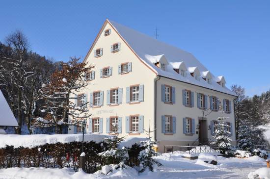 Hotel Hofgut Sternen, Sure Hotel Collection by Best Western Room Reviews &  Photos - Breitnau 2021 Deals & Price | Trip.com