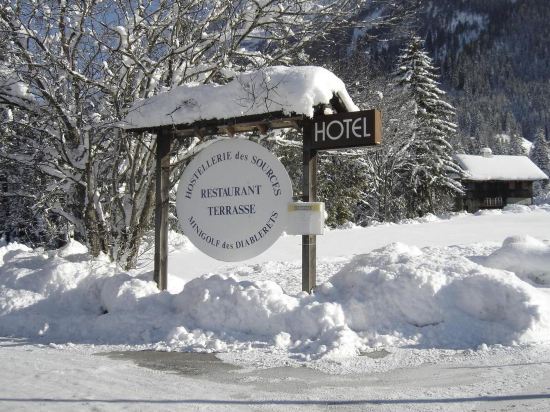 10 Best Hotels near Glacier 3000, Ormont-Dessus 2024 | Trip.com