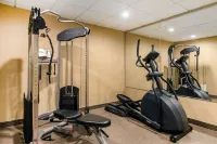 Radisson Hotel Grand Rapids Riverfront - Gym