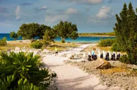 Sandals Royal Curacao - ビーチサイド
