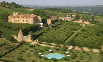 a picturesque village with a large house surrounded by green fields and trees , as well as a swimming pool in the background at Château de Bagnols