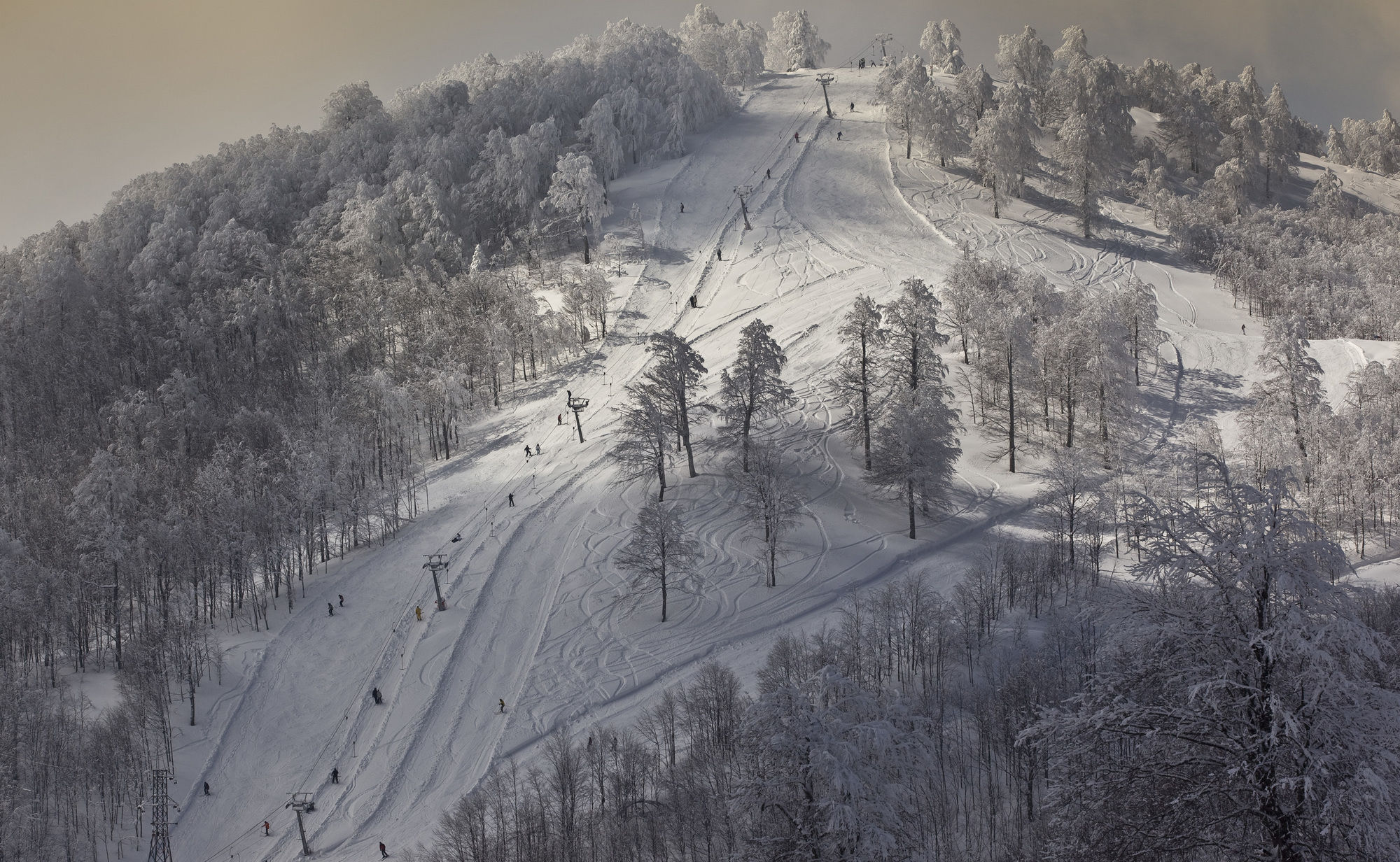 The Green Park Kartepe