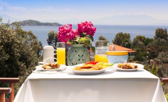 Irida Aegean View-Philian Hotels and Resorts