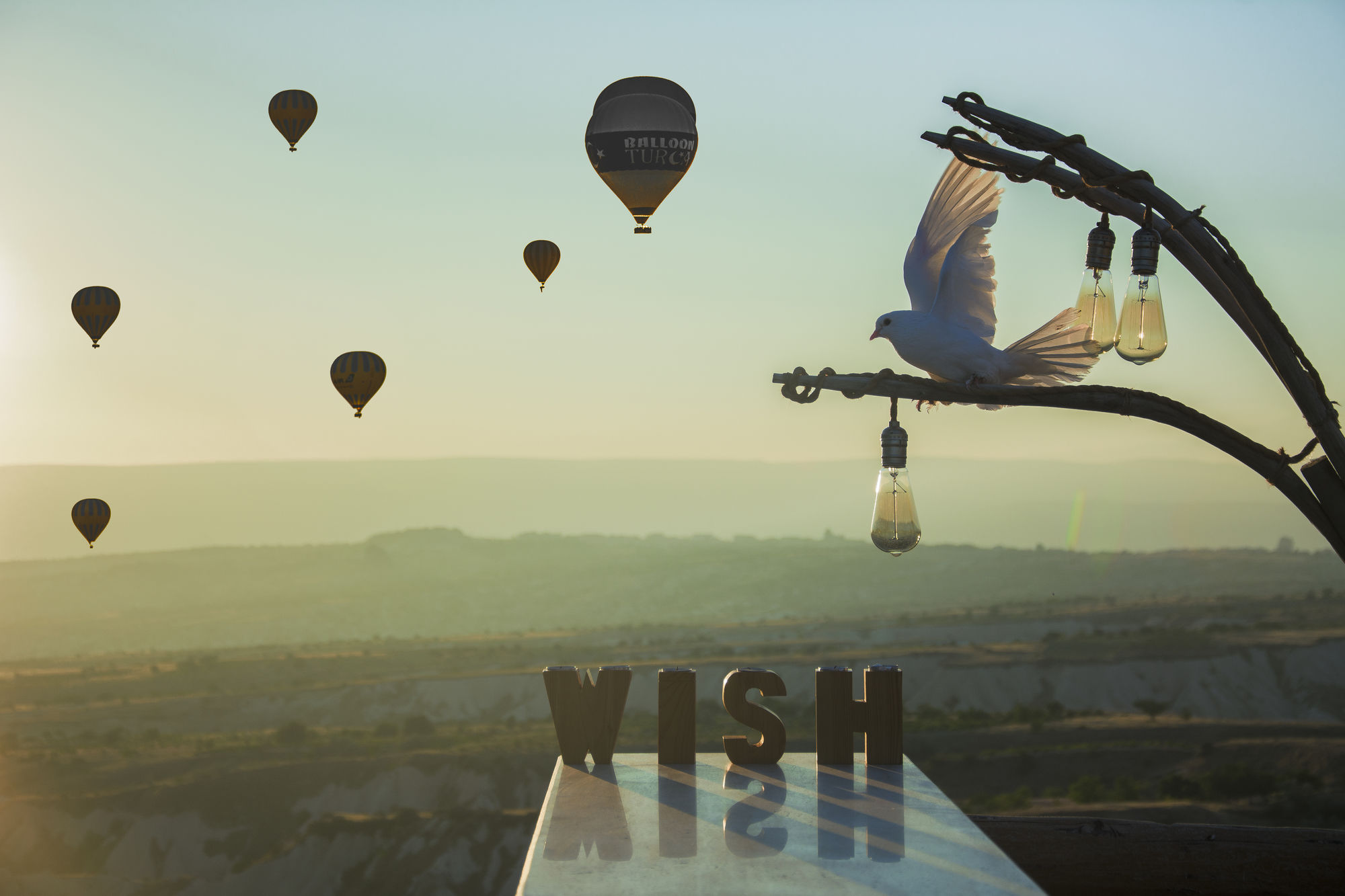 Wish Cappadocia