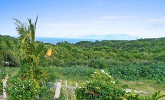 Spacious Ground-floor Apartment in Grand-terre, Guadeloupe With Private Pool, Wifi and Ocean View!