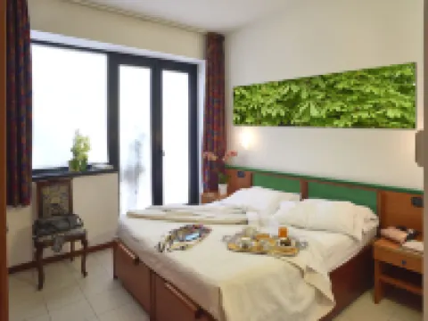 Hotel Il Maglio Hotels in Imola