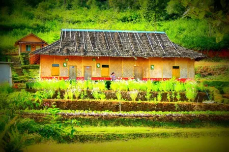 Mong Homestay Resort Отели рядом с достопримечательностью «Pang Ung»