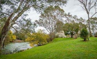 a serene landscape with green grass , trees , and a river , under an overcast sky , under a cloudy sky at Big4 Breeze Holiday Parks - Eildon