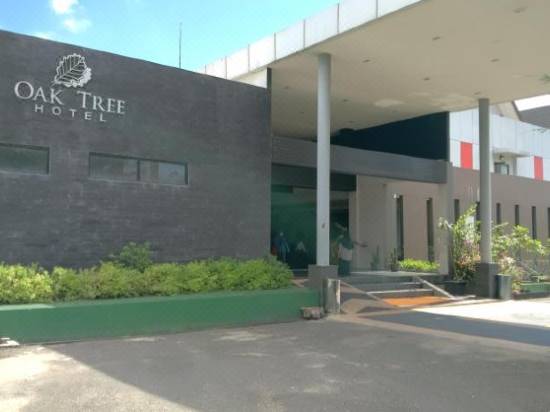 Oak Tree Bontang Hotel Bintang 3 Di Bontang