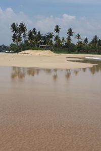 Find Hotels Near Esoft Metro Campus Matara Matara For 21 Trip Com