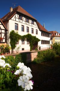 Ettlingen hotels with Swimming pool | Trip.com