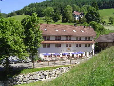 Hotel Sonne Hotels near Dorotheenhutte Wolfach