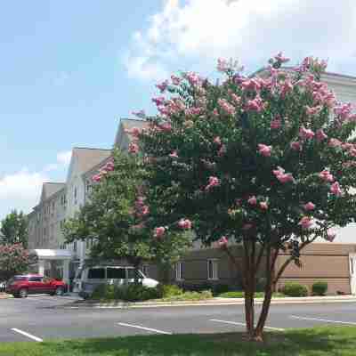 Candlewood Suites Greenville NC Hotel Exterior