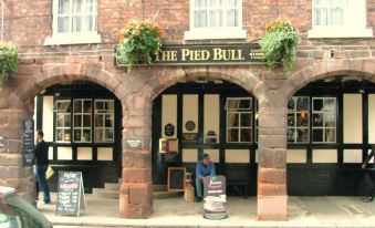 The Pied Bull
