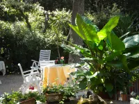 Hotel Rosa Del Tirreno Hotels in Quercianella