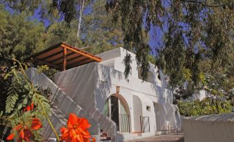 a white house surrounded by trees , with a red flower in front of it and a patio area below at Arbatax Park Resort - Telis