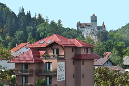 Casa Din Bran - Inn Cuisine