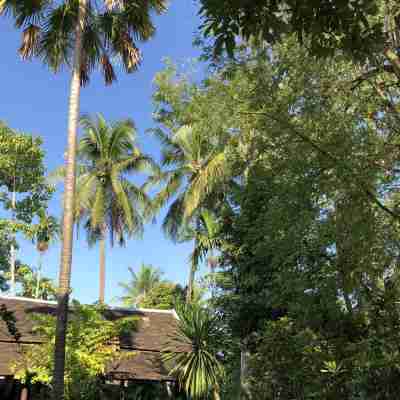 琅勃拉邦黃佔旅館 Hotel Exterior