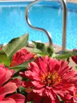 SureStay Plus Hotel by Best Western Hopkinsville Hotels in Hopkinsville