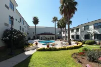 Fiesta Inn Saltillo - piscine