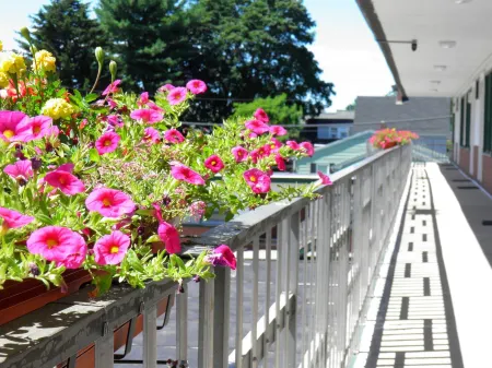 Travelers Inn Отели в г. Боудойн