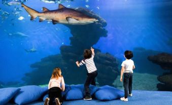 a group of children are sitting on bean bags in front of a large aquarium , observing a large tiger shark swimming above them at Alegria