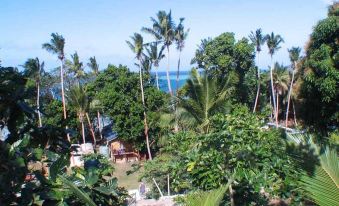 a tropical paradise with palm trees , blue skies , and a clear ocean in the background at Safari Lodge