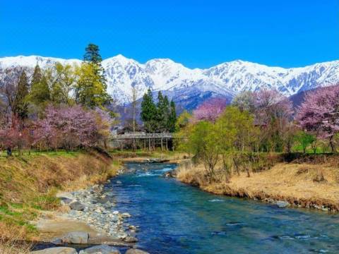 ヴィラ れんが亭 白馬 を宿泊予約 22年安い料金プラン 口コミ 部屋写真 Trip Com