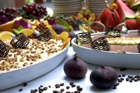 Dlrg Tagungszentrum Delphin