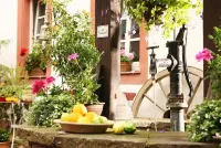 Hotel Deutschherrenhof Hotels in Ralingen