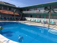Dolphin Inn - Beach