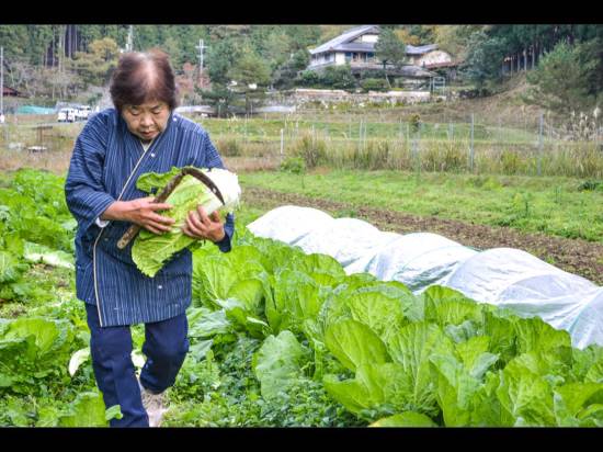 ひよしフォレストリゾート山の家 南丹市 宿泊予約 安い料金プラン 口コミ 部屋写真 Trip Com