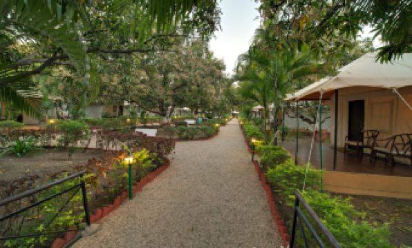 Lion Safari Camp - Housity